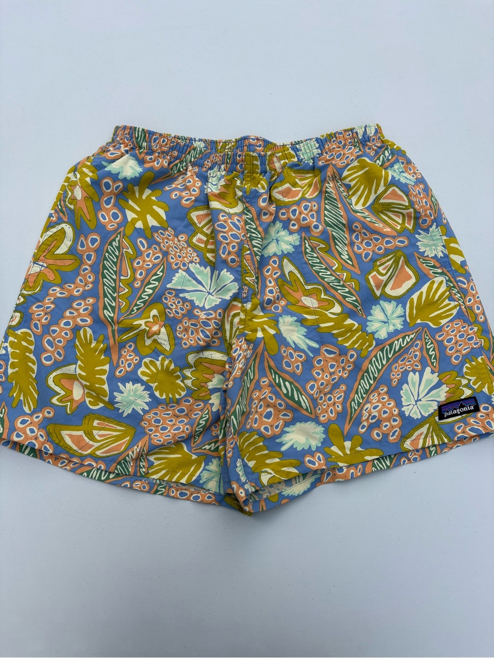 Patagonia Swim Trunks